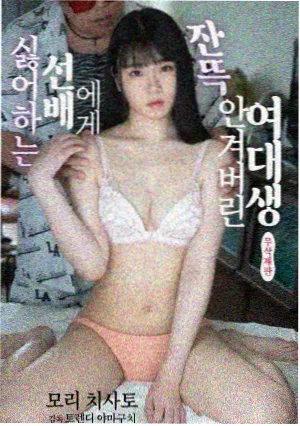 花蝴蝶19免费观看全部电视剧 第3季